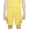 Nike Liverpool FC 2021/22 Stadium Derde Short Heren