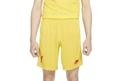Nike Liverpool FC 2021/22 Stadium Derde Short Heren