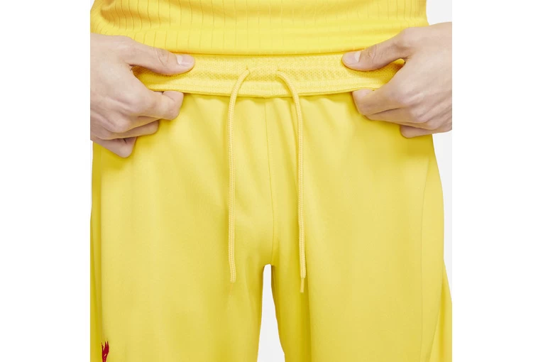 Nike Liverpool FC 2021/22 Stadium Derde Short Heren 4 Nike Liverpool FC 2021/22 Stadium Derde Short Heren - Afbeelding 4