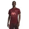 Nike Liverpool FC 22/23 Pre-Match Shirt Tough Red Heren
