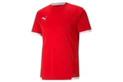 Puma TeamLIGA Voetbalshirt Rood Heren