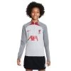 Nike Liverpool FC Strike Sweatshirt Wolf Grey/Smoke Grey/Tough Red