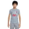 Nike Liverpool FC Voetbalshirt Wolf Grey/Tough Red KIDS