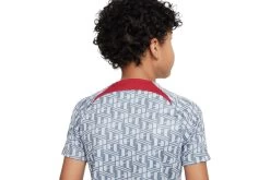 Nike Liverpool FC Voetbalshirt Wolf Grey/Tough Red KIDS -Winkel voor professionele voetbaluitrusting 37107646 3