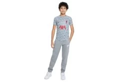 Nike Liverpool FC Voetbalshirt Wolf Grey/Tough Red KIDS -Winkel voor professionele voetbaluitrusting 37107646 5