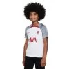 Nike Liverpool FC Strike Voetbalshirt Wit/Smoke Grey/Tough Red KIDS