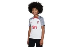 Nike Liverpool FC Strike Voetbalshirt Wit/Smoke Grey/Tough Red KIDS