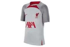 Nike Liverpool FC Strike Voetbalshirt Wolf Grey/Smoke Grey/Tough Red KIDS