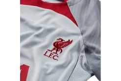 Nike Liverpool FC Strike Voetbalshirt Wolf Grey/Smoke Grey/Tough Red KIDS -Winkel voor professionele voetbaluitrusting 37107648 3