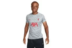 Nike Liverpool FC Voetbalshirt Wolf Grey/Tough Red Heren