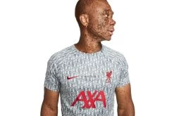 Nike Liverpool FC Voetbalshirt Wolf Grey/Tough Red Heren -Winkel voor professionele voetbaluitrusting 37107649 4