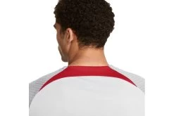 Nike Liverpool FC Strike Voetbalshirt Wolf Grey/Smoke Grey/Tough Red Heren 9 Nike Liverpool FC Strike Voetbalshirt Wolf Grey/Smoke Grey/Tough Red Heren -Winkel voor professionele voetbaluitrusting 37107651 4