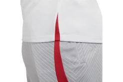 Nike Liverpool FC Strike Voetbalshirt Wolf Grey/Smoke Grey/Tough Red Heren 10 Nike Liverpool FC Strike Voetbalshirt Wolf Grey/Smoke Grey/Tough Red Heren -Winkel voor professionele voetbaluitrusting 37107651 5