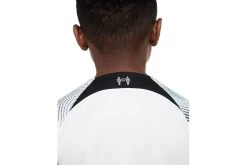 Nike Liverpool FC 2022/23 Stadium Uit Voetbalshirt KIDS -Winkel voor professionele voetbaluitrusting 37110388 4